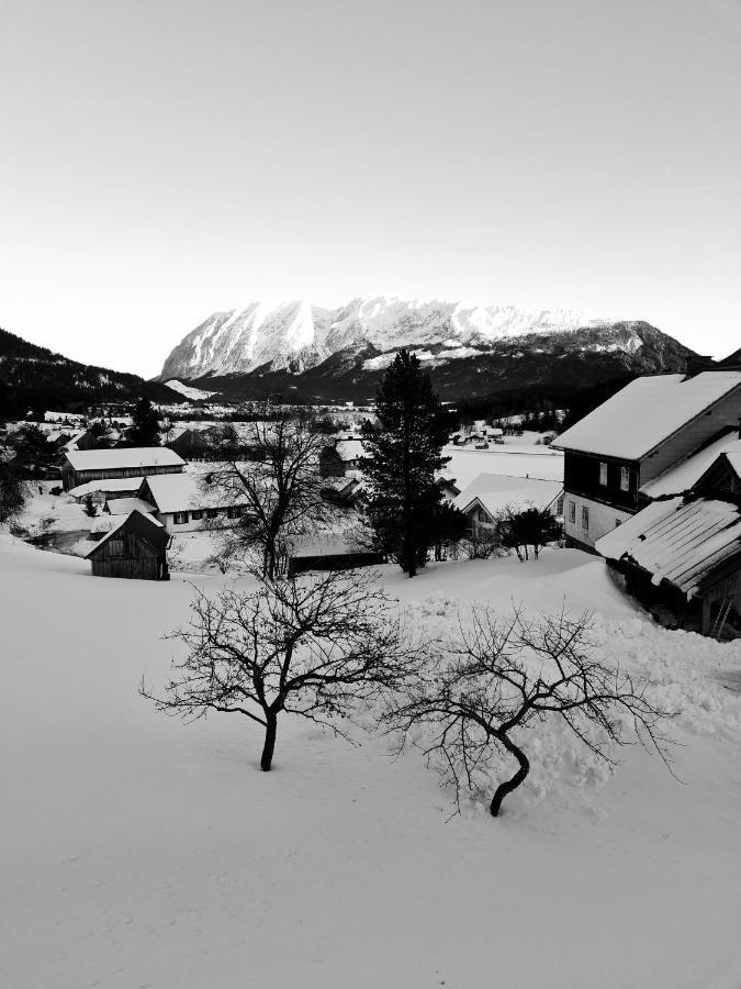 Ferienwohnungen Bergpanorama 巴德米滕多夫 外观 照片