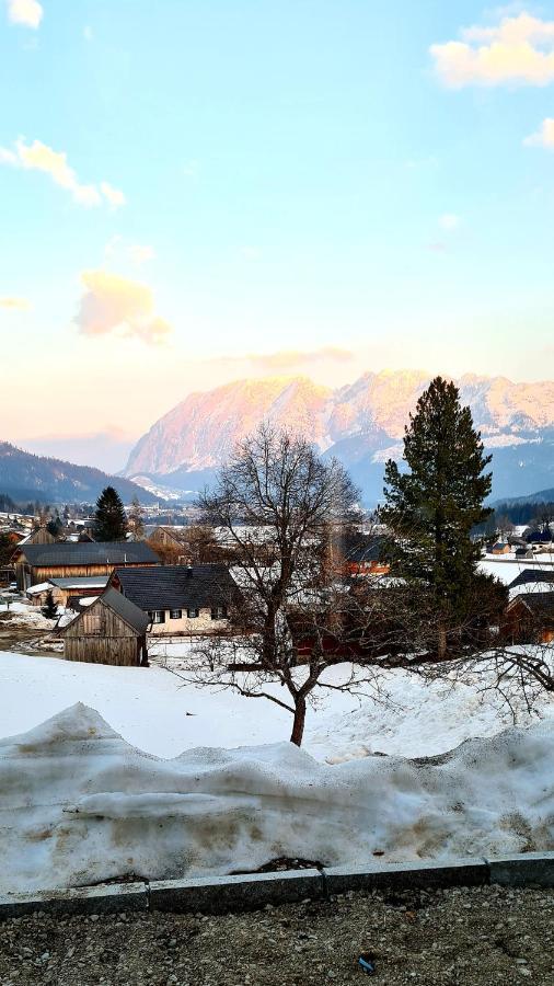 Ferienwohnungen Bergpanorama 巴德米滕多夫 外观 照片