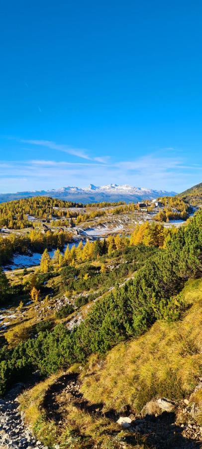 Ferienwohnungen Bergpanorama 巴德米滕多夫 外观 照片