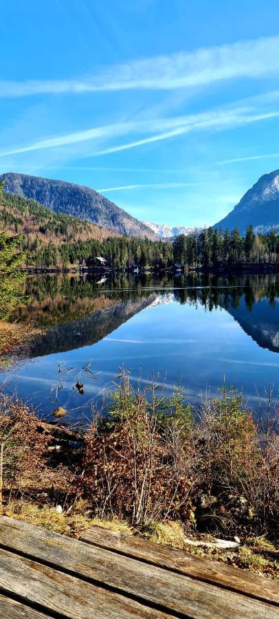 Ferienwohnungen Bergpanorama 巴德米滕多夫 外观 照片
