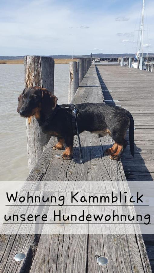 Ferienwohnungen Bergpanorama 巴德米滕多夫 外观 照片