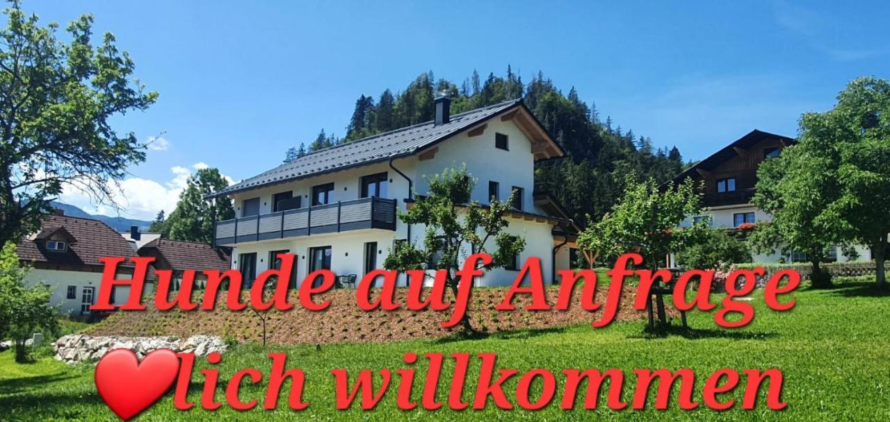 Ferienwohnungen Bergpanorama 巴德米滕多夫 外观 照片