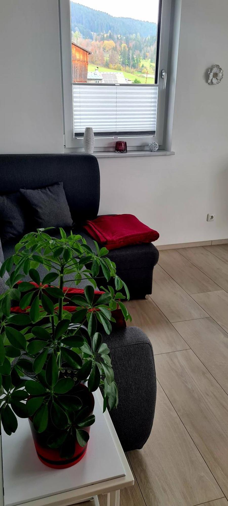 Ferienwohnungen Bergpanorama 巴德米滕多夫 客房 照片